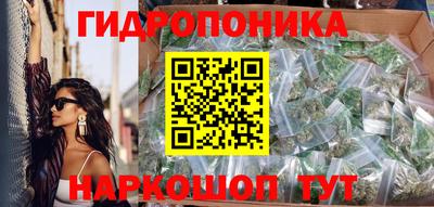 apvp Камышлов