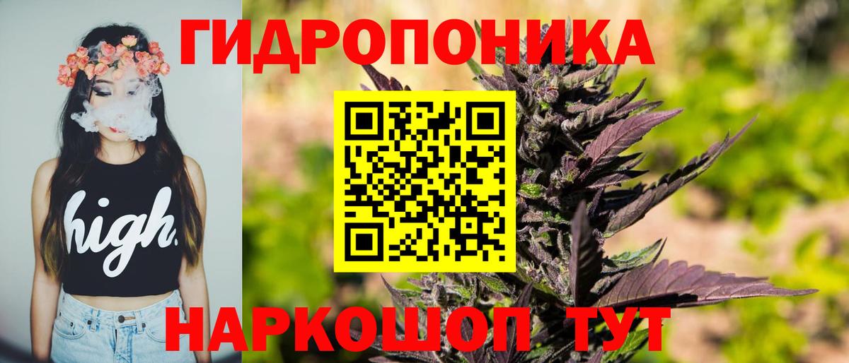 Бошки Шишки Bruce Banner Раменское
